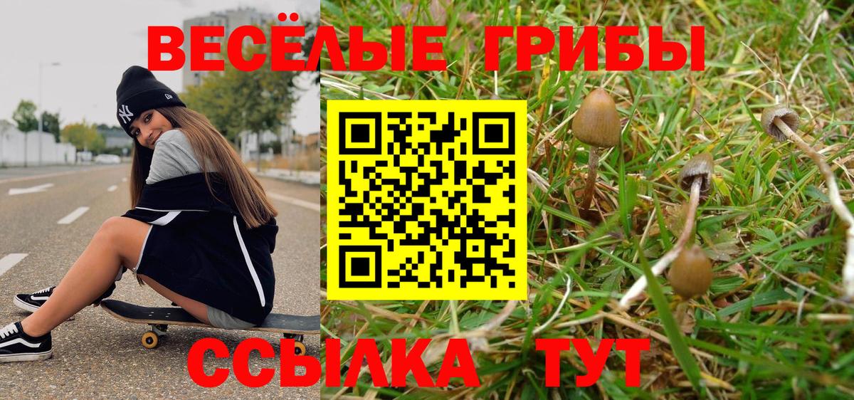 Галлюциногенные грибы мухоморы Чистополь