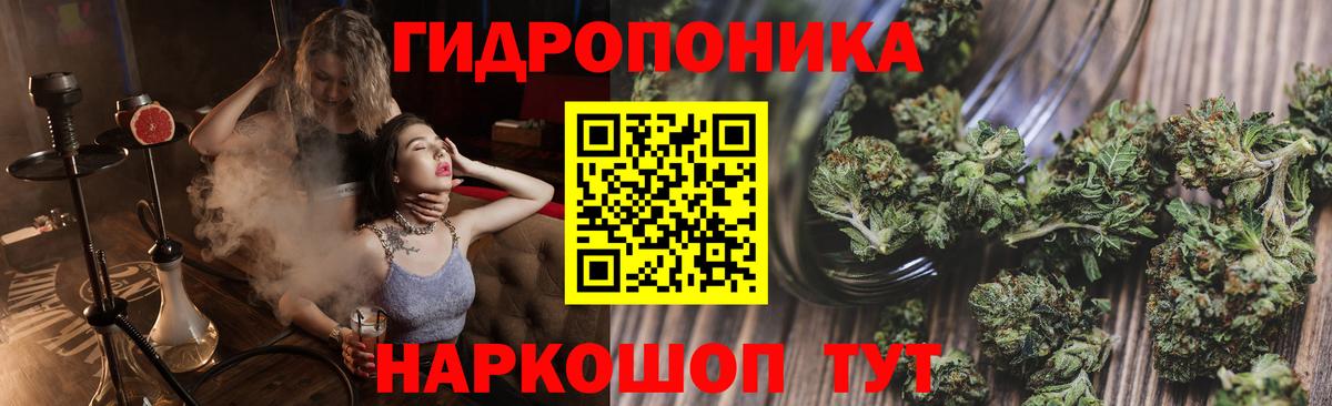 Каннабис White Widow  Вход с VPN  Чистополь  Канабис VHQ  Конопля AK-47 